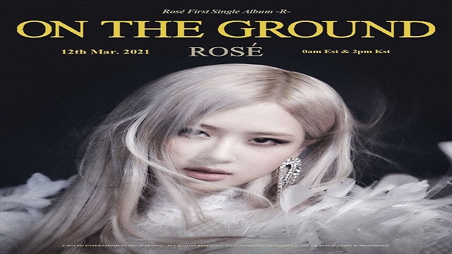 on the ground rose